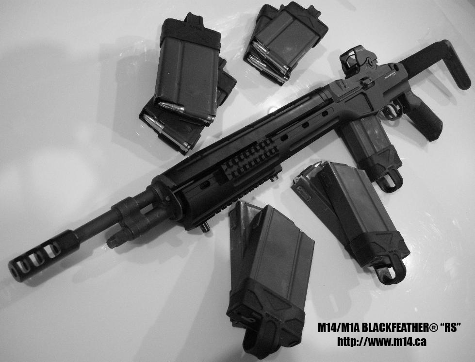 Either of the 18.0" Bush & Scout M1As in a SAGE EBR or Blackfeathe...