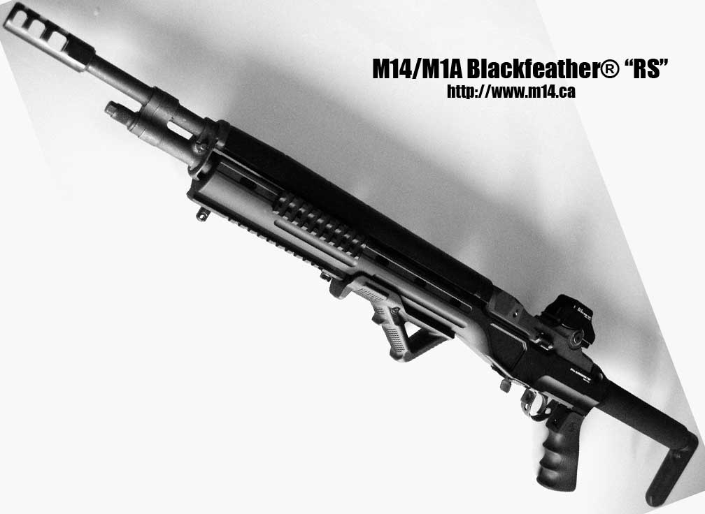 Product Name: M14.ca Blackfeather "RS" Type: M14 Platform Rifle S...